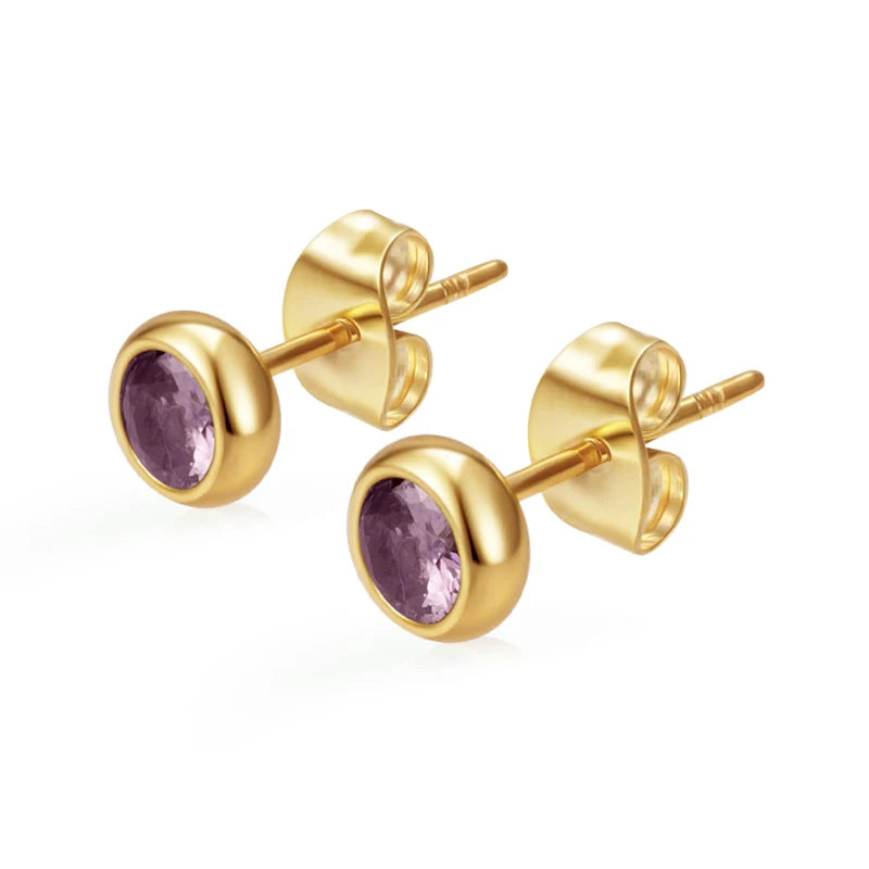 Needle Zircon Round Earrings