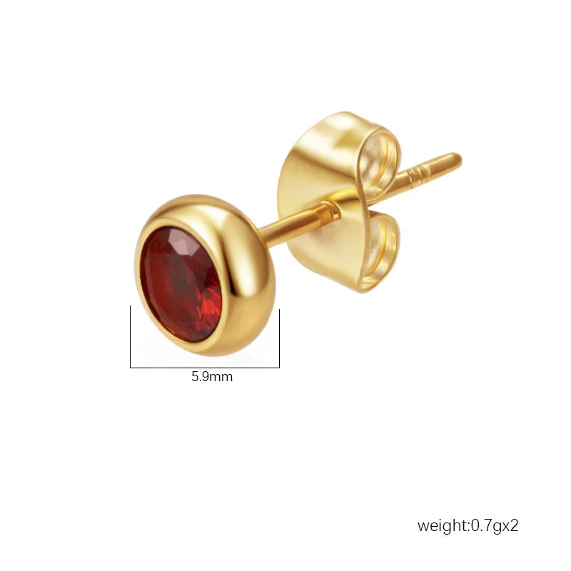 Needle Zircon Round Earrings